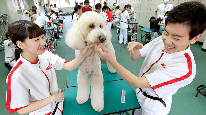専門学校日本動物21