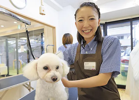就職先