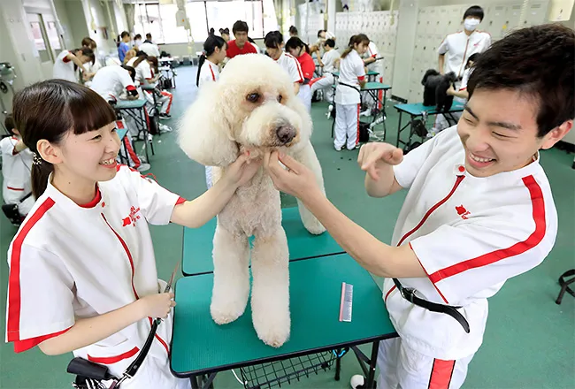 専門学校日本動物21