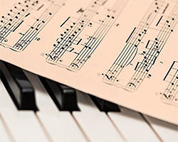 音楽系