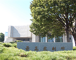 法学系学部