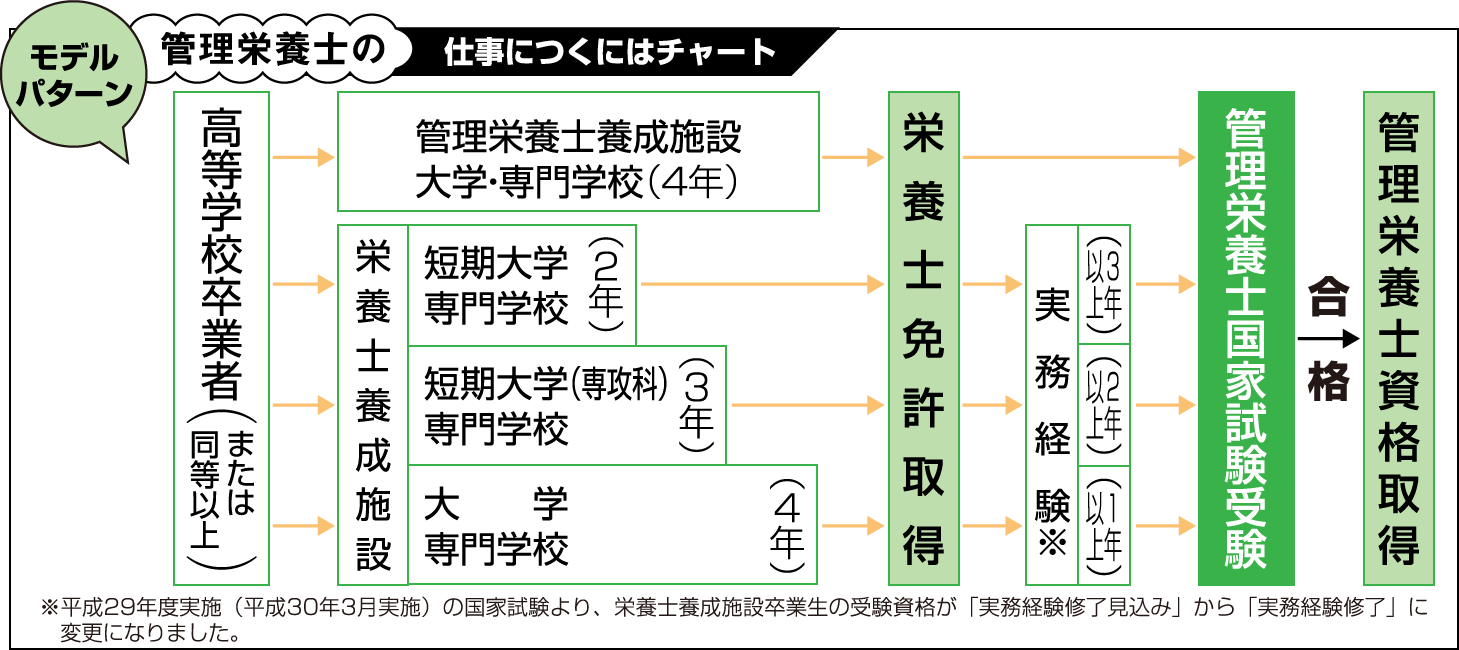 管理栄養士の仕事につくにはチャート