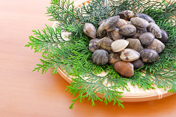 自動車産業だけじゃない！「ものづくり王国」愛知