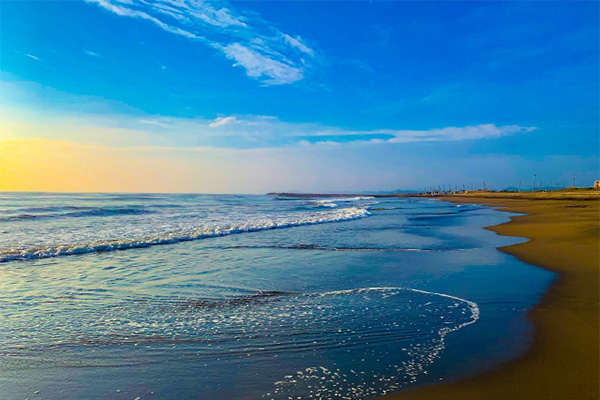 首都圏にありながら、豊かな自然環境!