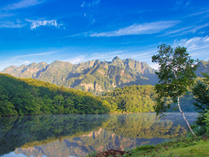 壮大な自然の宝庫