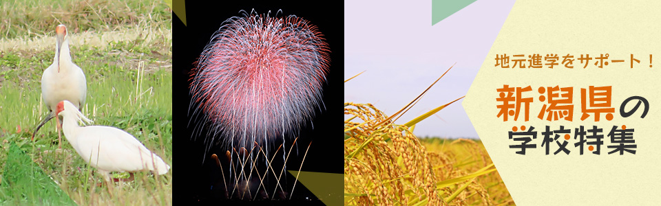 地元進学をサポート！新潟県の学校特集