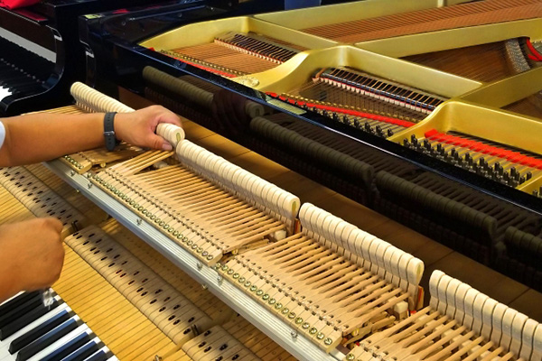 「ものづくり県」で地元就職に強い！