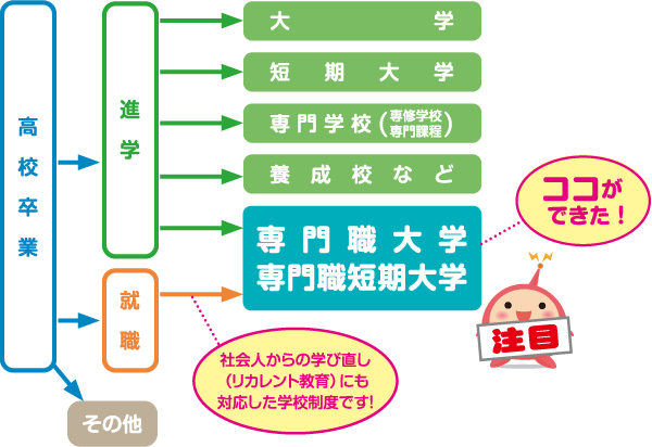 専門職大学・専門職短期大学